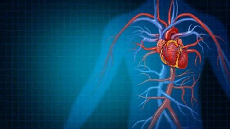 Uzmanı kalp hastalıklarında risk faktörlerini açıkladı
