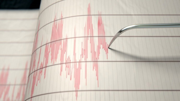 Yeni zelanda'da 7. 1 büyüklüğünde deprem; can kaybı yok
