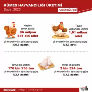 Yumurta üretimi ve inek sütü miktarı arttı