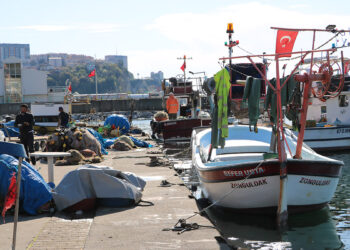 Zonguldak'ta balık avı sezonunda 1800 ton balık avlandı