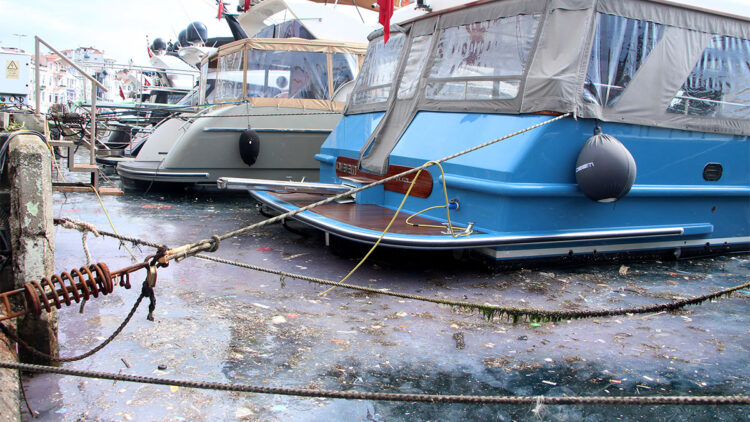Arnavutköy Sahili'nde kirlilik tepkisi