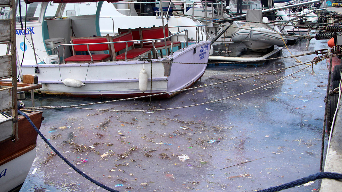 Arnavutköy Sahili'ndeki kirlilik tepkilere neden oldu. İstanbul Boğazı'nda, özellikle de Arnavutköy sahilinde biriken çöp ve denizanası yoğunluğu dikkat çekti.