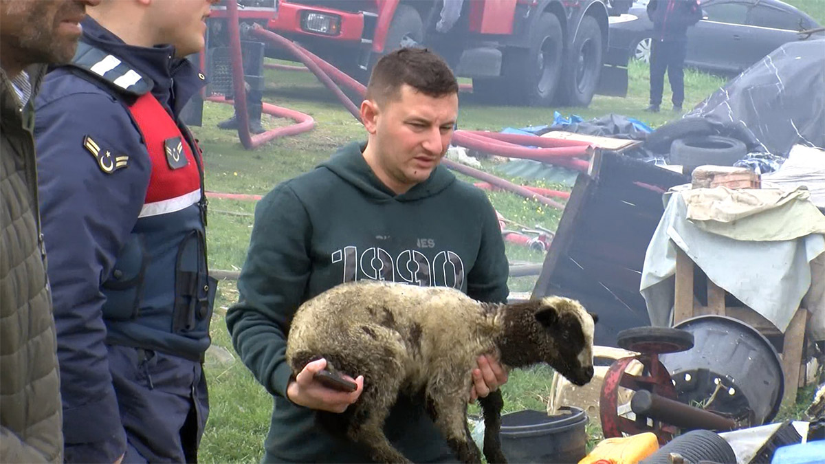 Gecekonduda çıkan yangın ahıra sıçradı