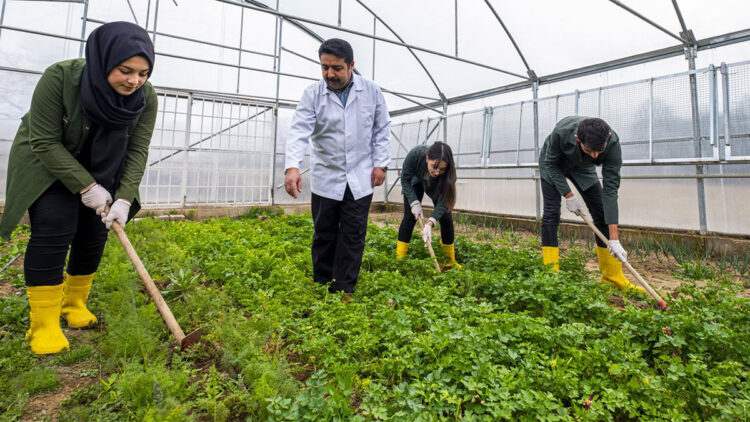 Tarım alanında eğitim verilen okul sayısını 144'e çıkardık