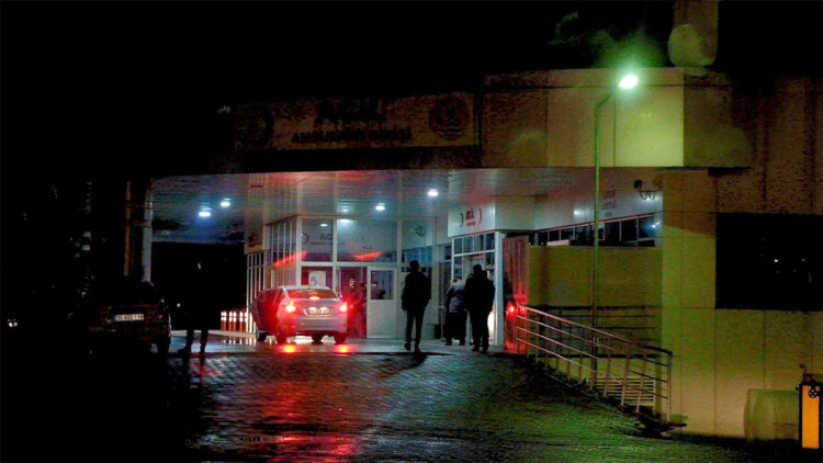 Bingöl'de hayvanlarını otlatırken yıldırım çarptı