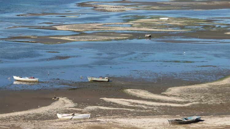 Büyük Menderes Deltası'nda kaçak açılan kanal kapatılıyor