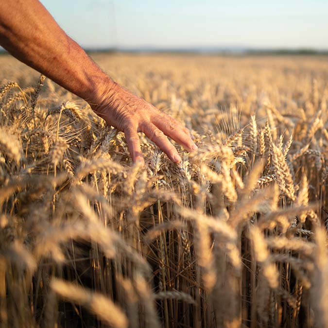 Tarımsal girdi fiyat endeksi şubatta yüzde 1,22 arttı