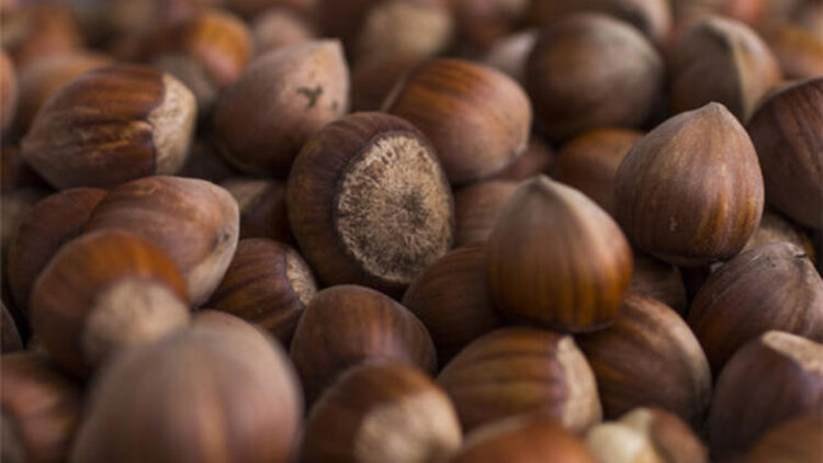 Ferrero Fındık tarımsal desteğini üreticiye ulaştırıyor