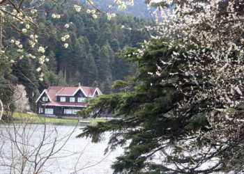 Gölcük Tabiat Parkı'nda bahar renkleri