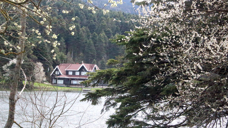 Gölcük Tabiat Parkı'nda bahar renkleri