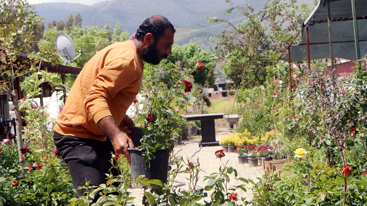 Hataylı çiçekçiler, depremzedelerin, yakınlarının kabirlerine dikmek için çiçek aldıklarını söyledi. 20 yıldır Antakya’da çiçekçilik yapan Kadir Çaçan, “Eskiden sevgililer gününde, doğum günlerinde ya da mutlu zamanlarda çiçek satıyorduk. Depremin ardından ne yazık ki sadece mezarlıklara giden çiçekleri satıyoruz” dedi.