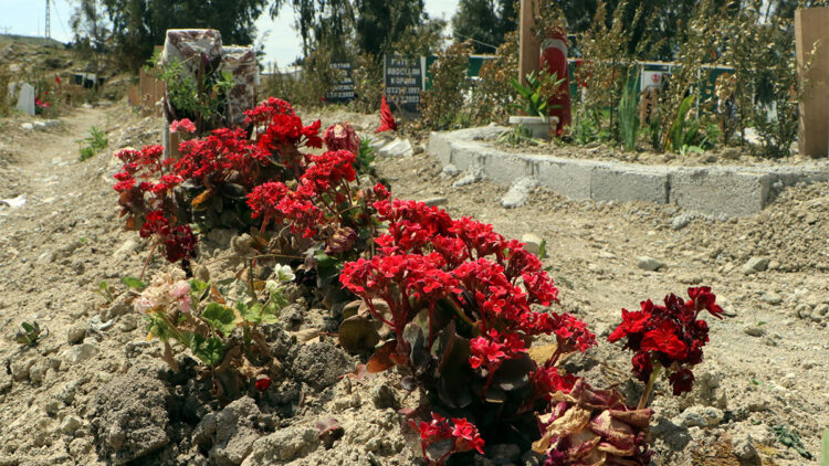 Hataylı çiçekçiler zor günler geçiriyor