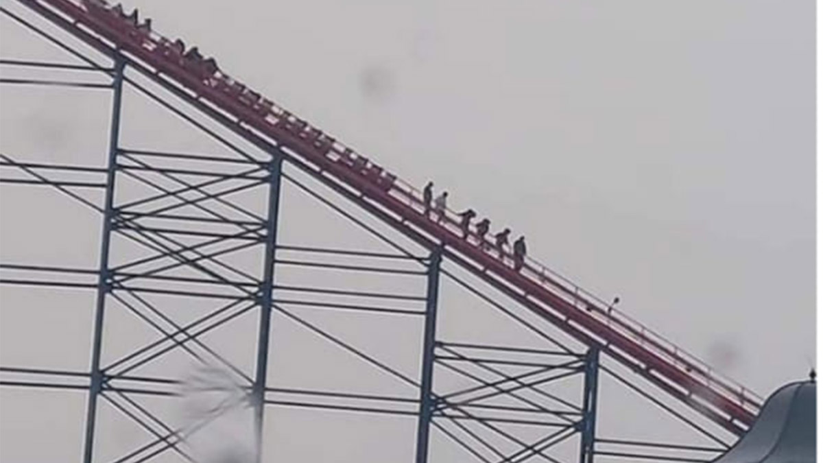 Hız treni yarı yolda durduruldu, yolcular tahliye edildi