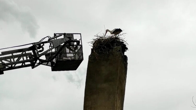 İtfaiye ekipleri leylek için bacaya yuva yaptı