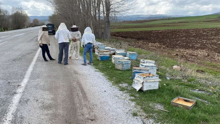 Kamyonet devrildi; arı kovanları yola saçıldı