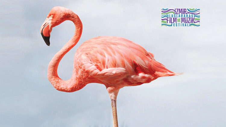 Kristal Flamingolar üçüncü kez sahiplerini bulacak