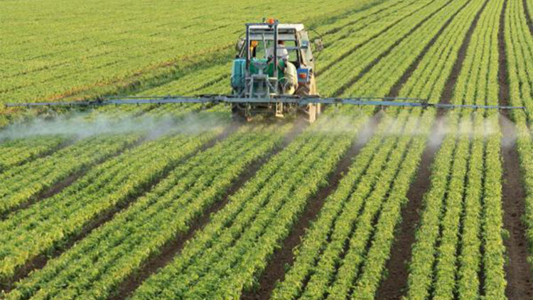 Tarım ve Orman Bakanlığı, Tarım İşletmeleri Genel Müdürlüğü (TİGEM), tarımsal üretimde kaliteyi artırmak için 2023 yılında sertifikalı hububat tohumu üretimini 140 bin tondan 223 bin tona, sertifikalı yem bitkileri tohumluğu üretimini 3 bin 700 tona çıkarmayı hedefliyor.