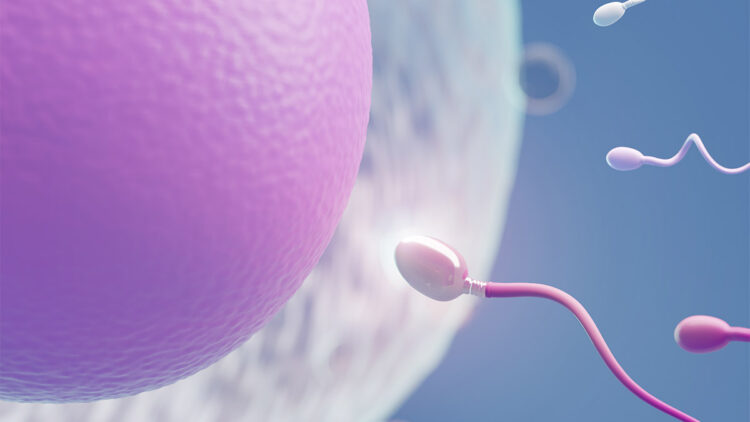 Yumurta dondurma nedir? Kimlere uygulanır?