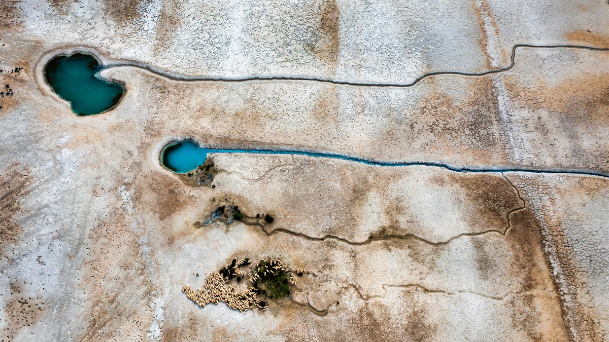 Tarım Orman ve İnsan Fotoğraf Yarışması'nı kazananlar belli oldu