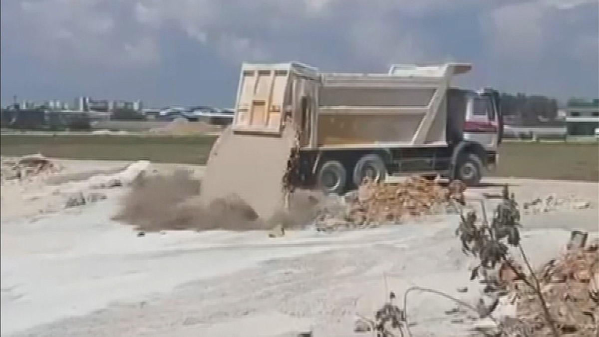 Beton atık suyu dökülen 5 yavru köpekten 3'ü öldü