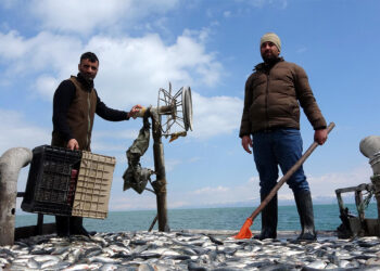 Av yasağı öncesi, balıkçılar son kez ağlarını attı