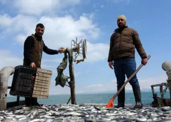 Av yasağı öncesi, balıkçılar son kez ağlarını attı