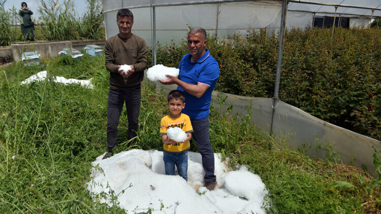 Sağanak ve dolu tarım arazilerini vurdu