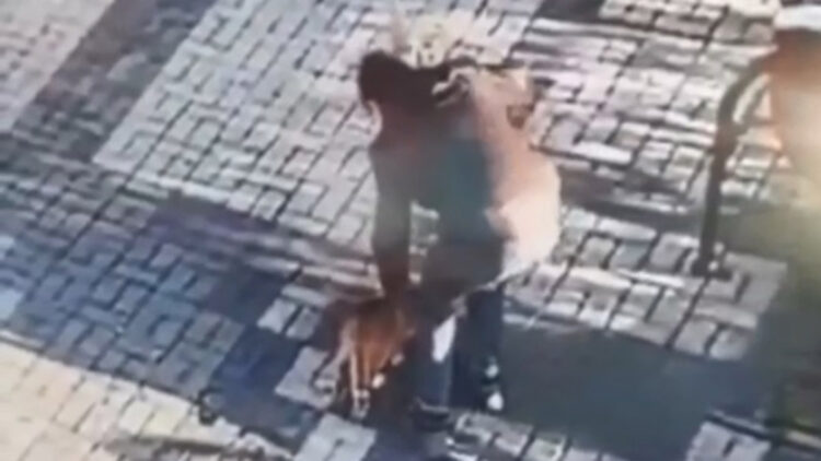 14 yaşındaki çocuk kediye malayla vurarak eziyet etti