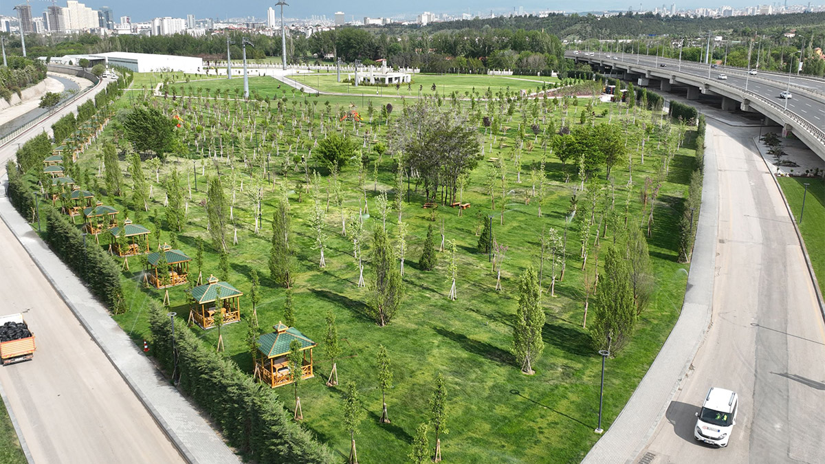 Ankara Büyükşehir Belediyesi, ulu önder Mustafa Kemal Atatürk’ün mirası Atatürk Orman Çiftliği arazisindeki yeşil alan çalışmalarını sürdürüyor.