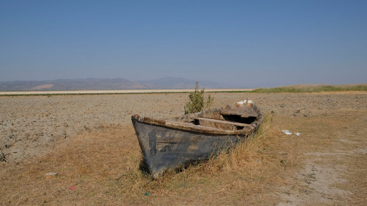  20 sulak alan, yok olma tehlikesiyle karşı karşıya