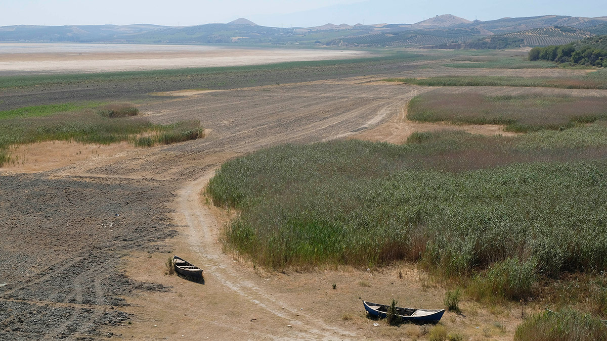 20 sulak alan, yok olma tehlikesiyle karşı karşıya