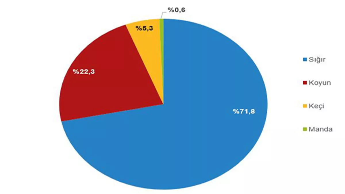 2022de kirmizi et uretiminde yuzde 123 artish - i̇ş dünyası - haberton