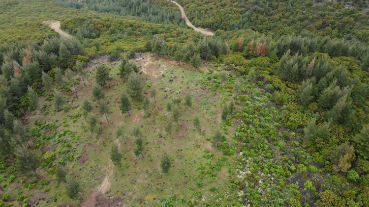 28'inci Alay Şehitliği'nin ihya çalışmalarına başlandı