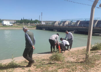Sulama kanalına düşen otomobildeki annenin cansız bedenine ulaşıldı