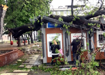 Avcılar'da ağaç ATM'lerin üzerine devrildi