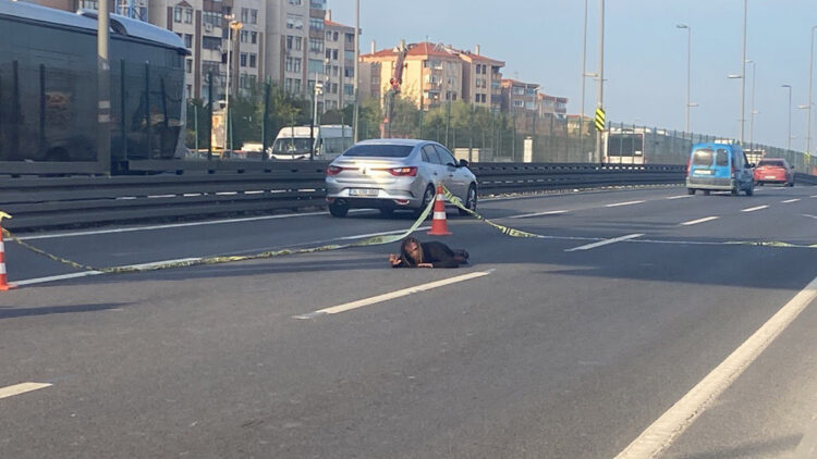 Bakırköy'de yol ortasında yatarak trafiği kesti