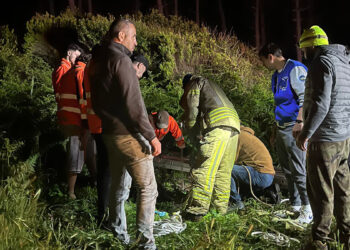Beykoz'da kuyuya düşen vatandaş ve kedi kurtarıldı
