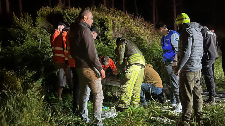 Beykoz'da kuyuya düşen vatandaş ve kedi kurtarıldı