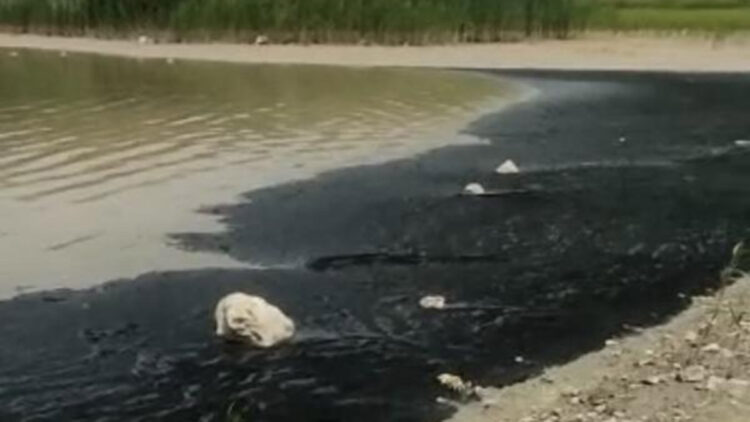 Bursa'da, Boğazköy Barajı'nın yüzeyi siyaha büründü