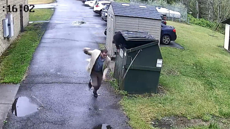 Çöp konteynerinden çıkan ayı, okul müdürünü korkuttu