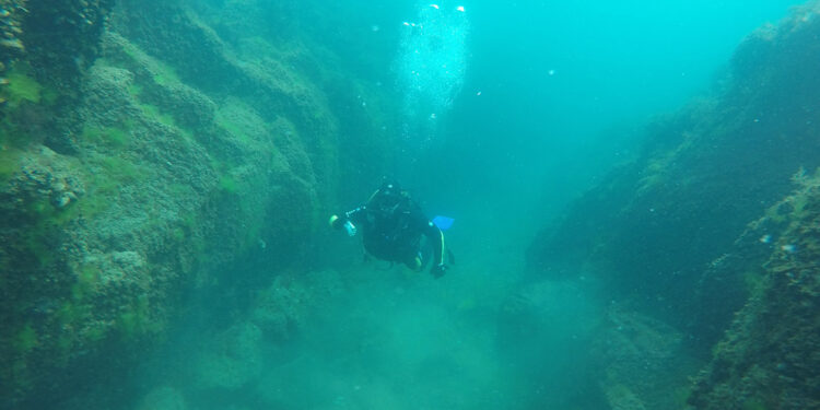 Doğu Karadeniz'deki 5 ilin 'Mavi Yol'u belirlendi