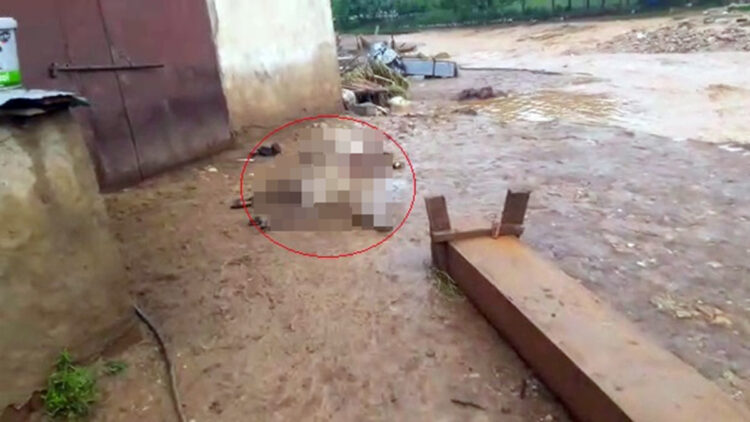 Elazığ'da sağanak ve dolu; 200 küçükbaş öldü