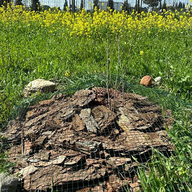 Enerji gunesten su uretimi havadanzw - yerel haberler - haberton