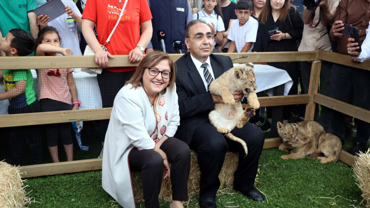 Erdoğan'a hediye edilen aslanların dördüzleri oldu