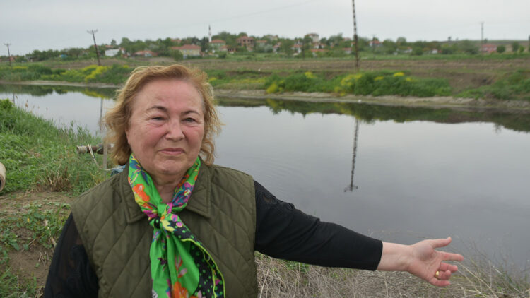 Ergene Nehri'nin suyu 3'üncü derece kirli çıktı