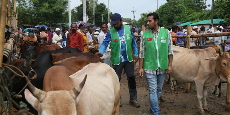 İHH kurban hisse bedelini açıkladı