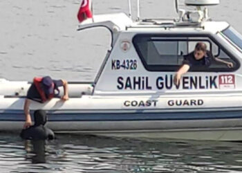 İzmir Körfezi'nde yasa dışı midye avcılarına suçüstü