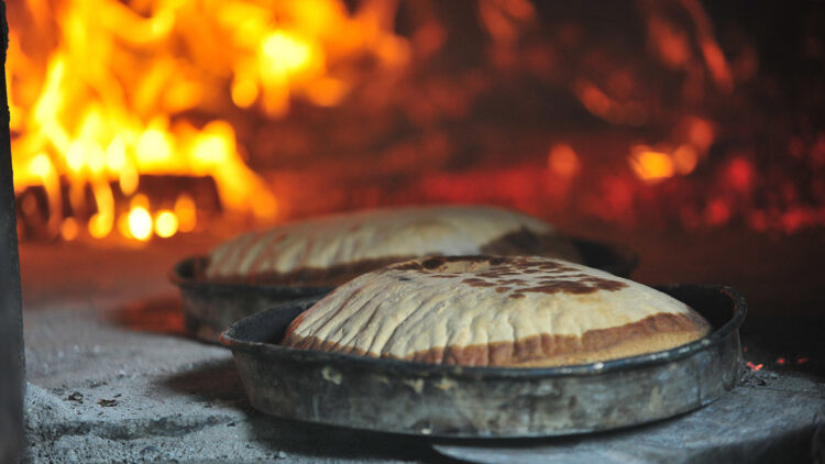 Kış uykusundan uyanan ayılar için ‘özel fırın’