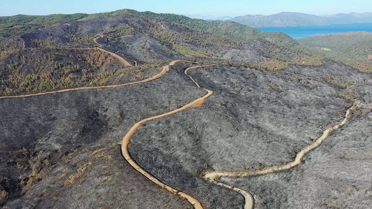 Marmariste yanan alanlar yesillenmeye basladis - öne çıkan - haberton