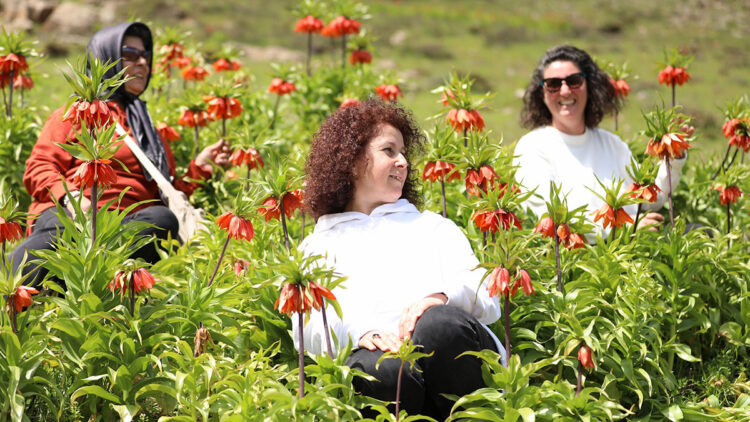 Muş'un zirveleri ters lalelerle renklendi